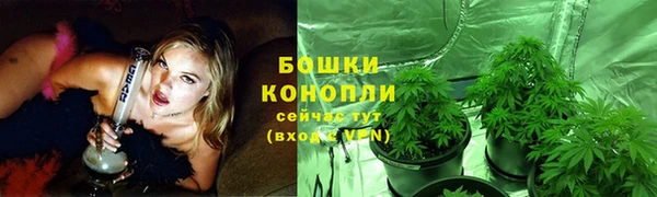 ALPHA PVP Артём