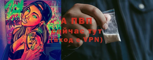 индика Наволоки