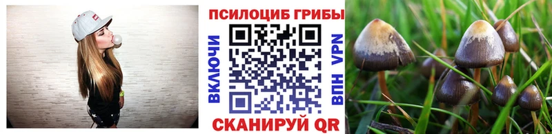 Псилоцибиновые грибы Psilocybine cubensis  Белокуриха 